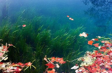 Similar image 1401643