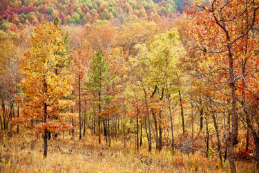 Similar image 1401663