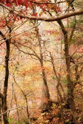 Similar image 1401693