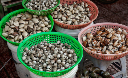 Similar image 1401704