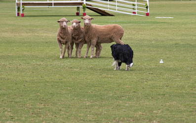 Similar image 1401844