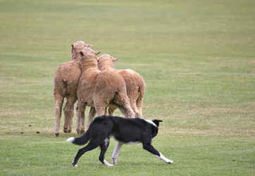 Similar image 1401860