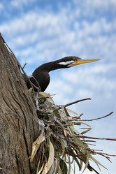 Similar image 1401873