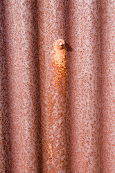 Similar image 1401886