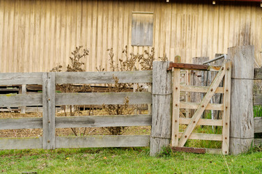 Similar image 1401892