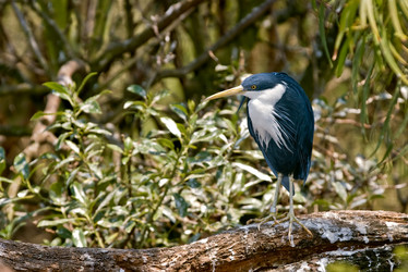 Similar image 1401924