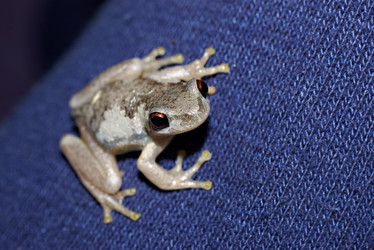 Similar image 1401926