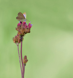 Similar image 1401932