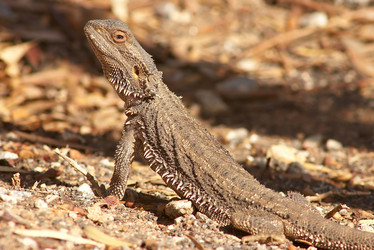 Similar image 1401979