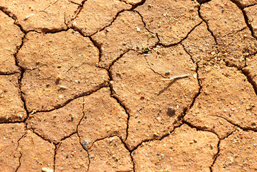 Similar image 1402016