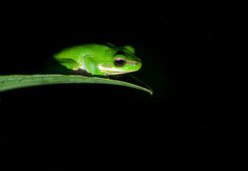 Similar image 1402422