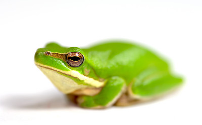 Similar image 1402439