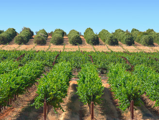 Similar image 1402448