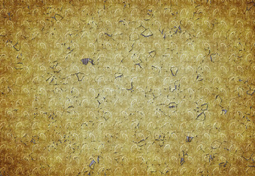 Similar image 1402502