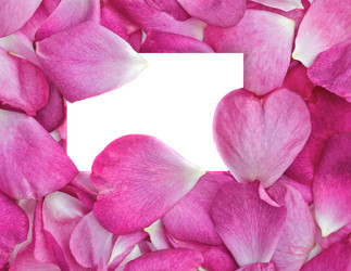 Similar image 1402564