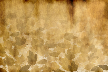 Similar image 1402900