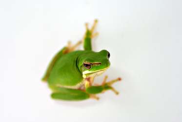 Similar image 1402994