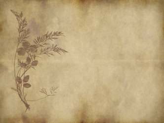 Similar image 1403124