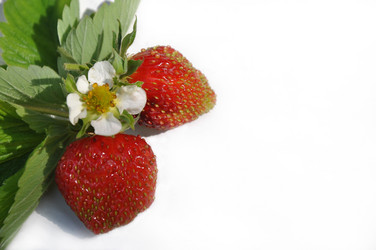 Similar image 1404735