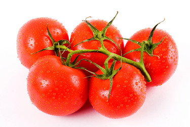 Similar image 1404784