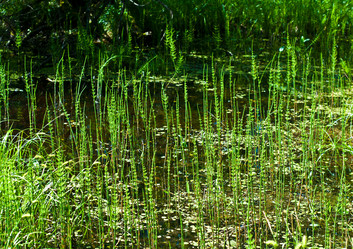 Similar image 1404787