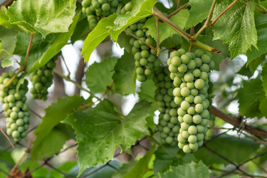 Similar image 1404791