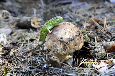 Similar image 1404814