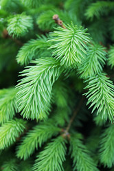 Similar image 1404819