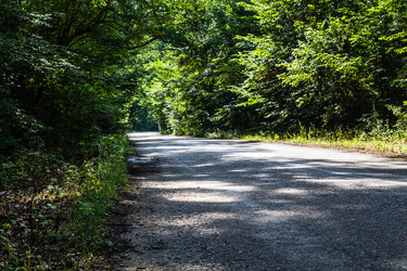 Similar image 1404824