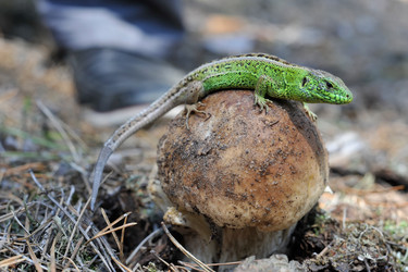 Similar image 1404843