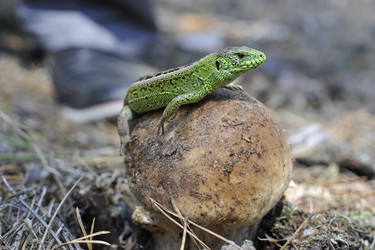 Similar image 1404844