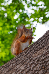 Similar image 1404875