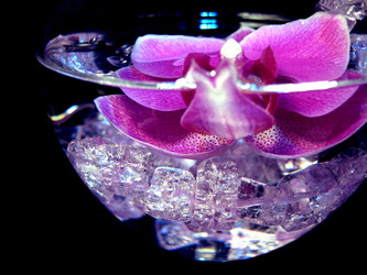 Similar image 1404908