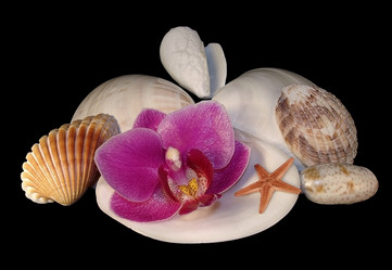 Similar image 1404910