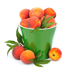 Similar image 1404932