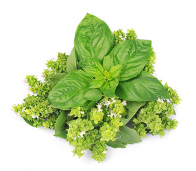 Similar image 1404936