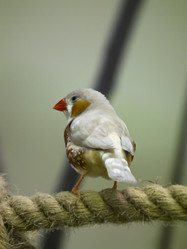 Similar image 1404966