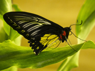 Similar image 1404967