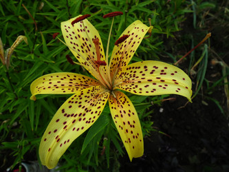 Similar image 1404968