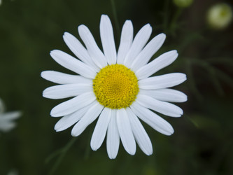 Similar image 1404969