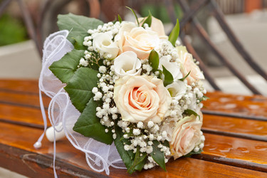 Similar image 1404986