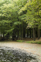 Similar image 1405000