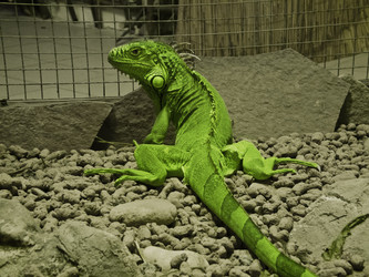 Similar image 1405017