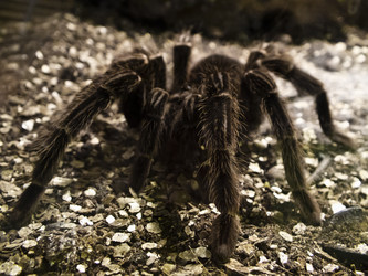 Similar image 1405020