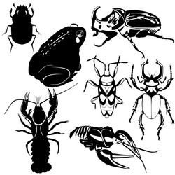 Similar image 1405036