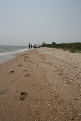 Similar image 1405042