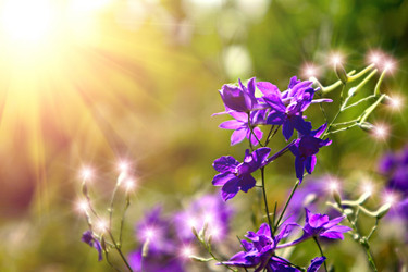 Similar image 1405046