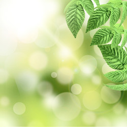 Similar image 1405059