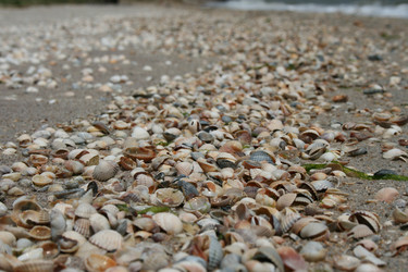 Similar image 1405081