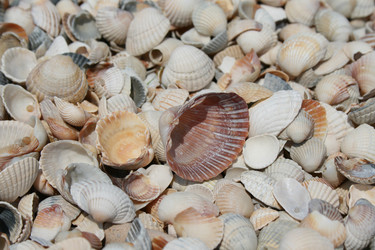 Similar image 1405084